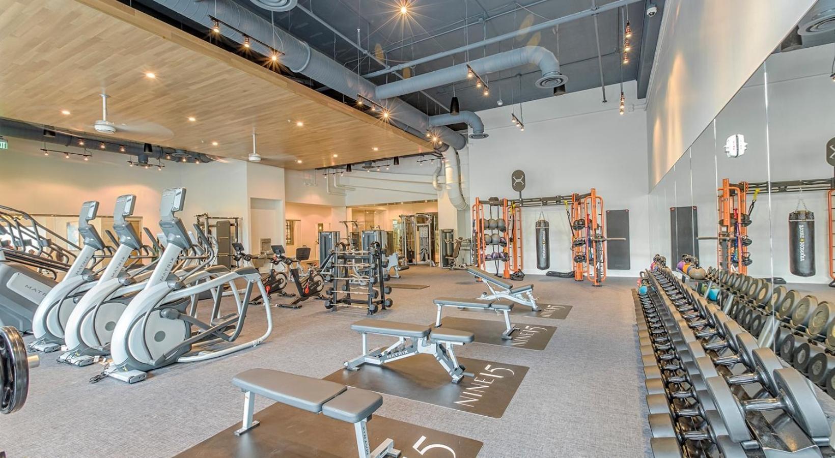 1Br Oasis In Downtown Tampa W Balcony & City Views מראה חיצוני תמונה